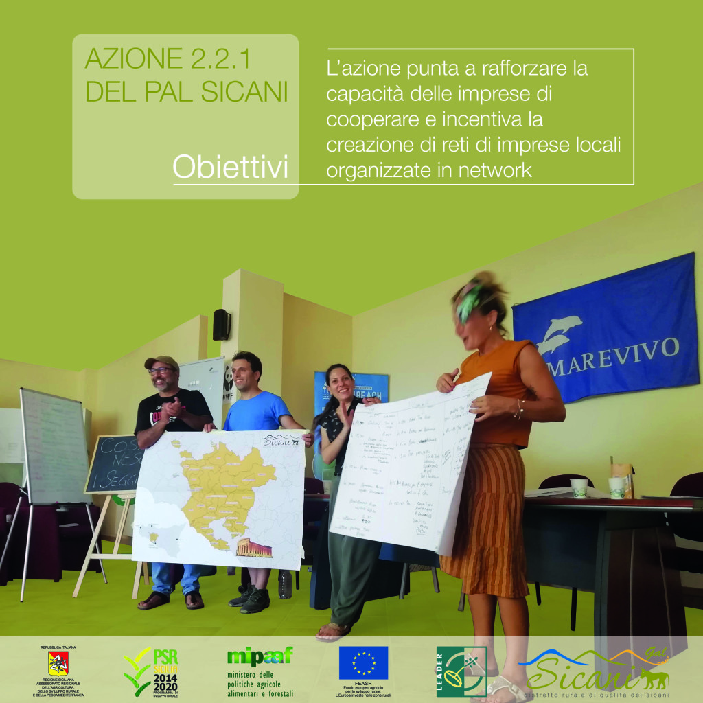 Promozione Azione 2.2.1 - obiettivi