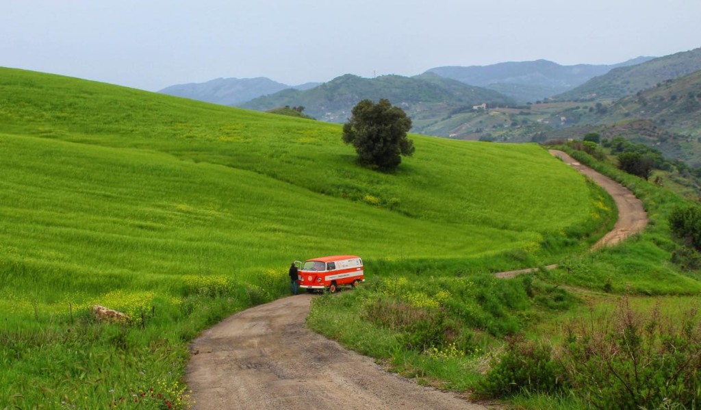 In viaggio tra i filari