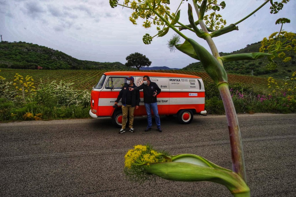 In viaggio tra i filari, Distretto rurale di qualità dei Sicani